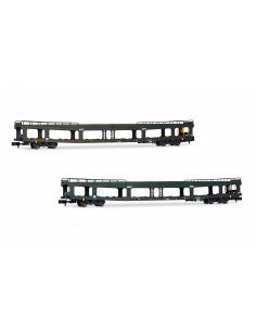 Set car wagon transport SNCF DO DEV 66 Ep IV N