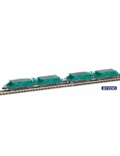 TOLVAS DUO RENFE VERDE N