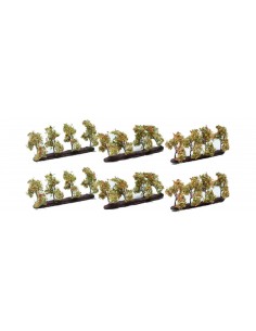 Set de 24 manzanos N,Z