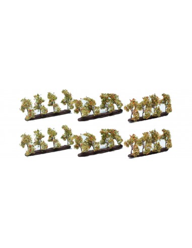 Set de 24 manzanos N,Z