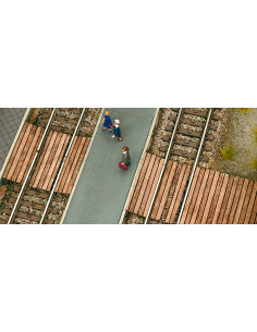 Paso a nivel peatonal N