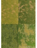 Set 4 planchas de distintas vegetaciones N,TT,HO