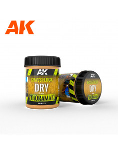 AK INTERACTIVE AK8223 2