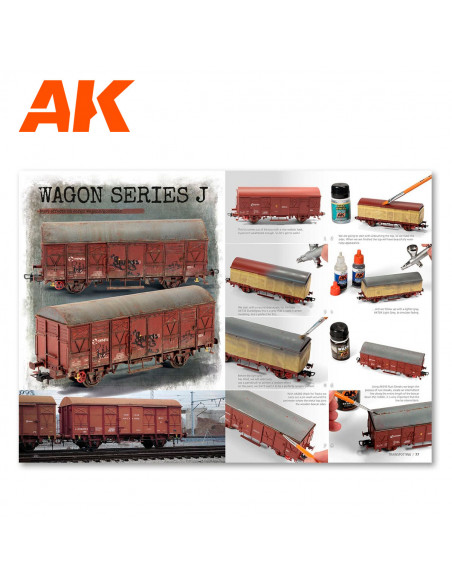 AK INTERACTIVE AK696