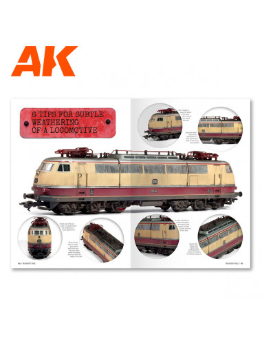 AK INTERACTIVE AK696