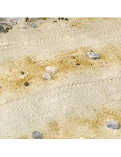 Terrains desert sand 250ML 2