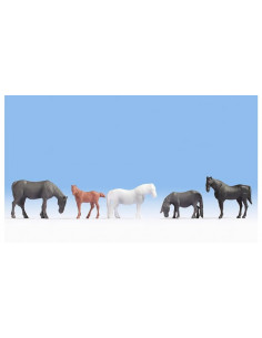 Group of horses HO
