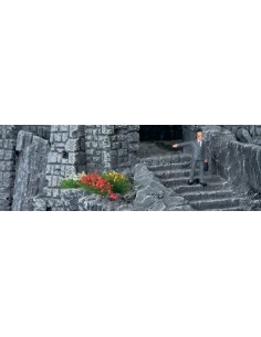 Mechones de hierba y flores N,TT.HO