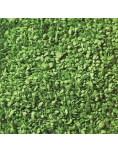 Follaje verde claro N TT HO