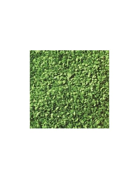 Follaje verde claro N TT HO