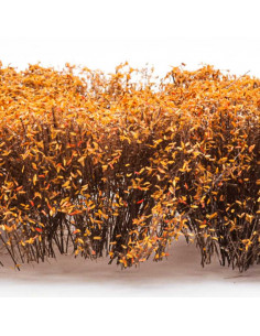 Tall Shrubbery Dry Natural 2