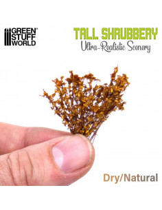 Tall Shrubbery Dry Natural