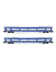 Vagones portacoches DR DDm 916 Ep IV N